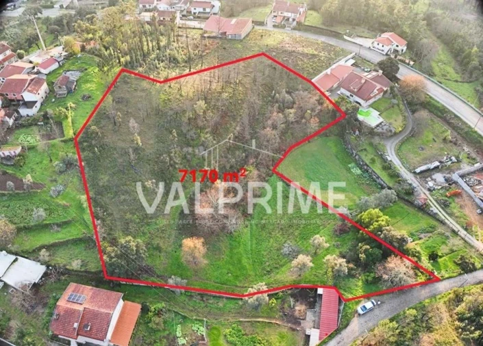 Terreno Agricola ou Rústico para Venda em Aguiar de Sousa Foto 1