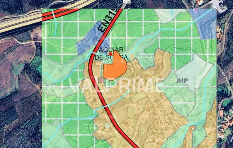 Terreno Agricola ou Rústico para Venda em Aguiar de Sousa Foto 34