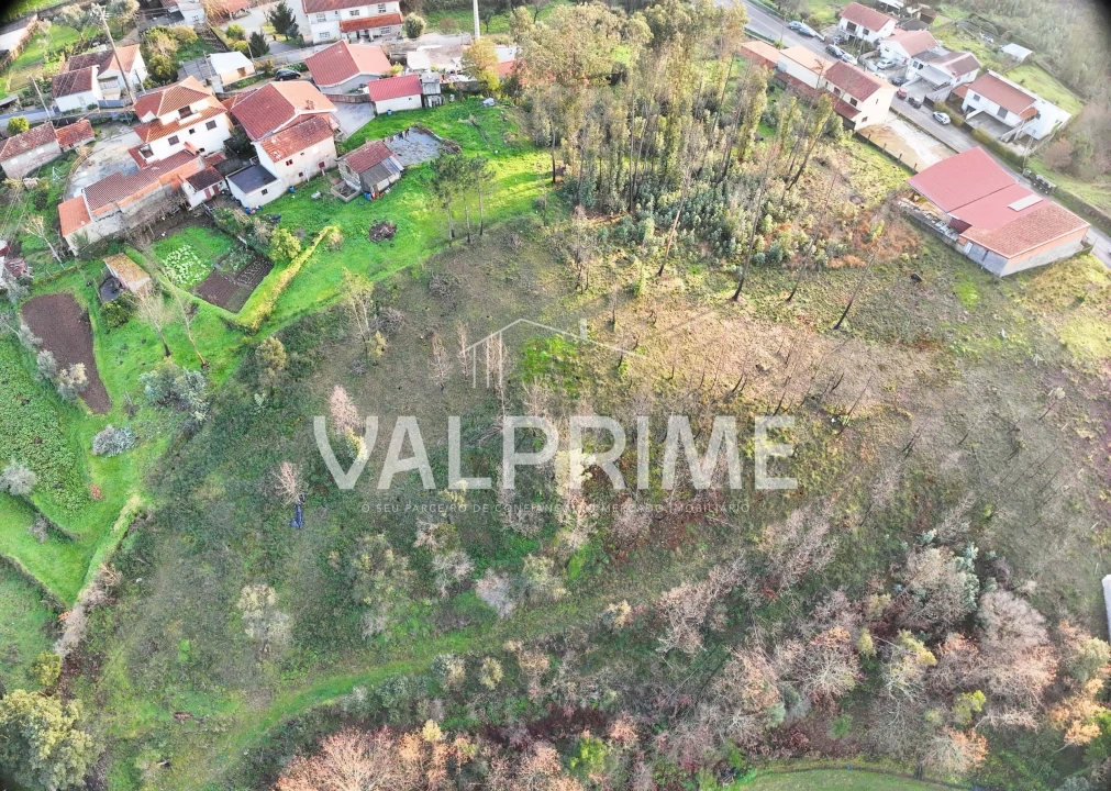 Terreno Agricola ou Rústico para Venda em Aguiar de Sousa Foto 7
