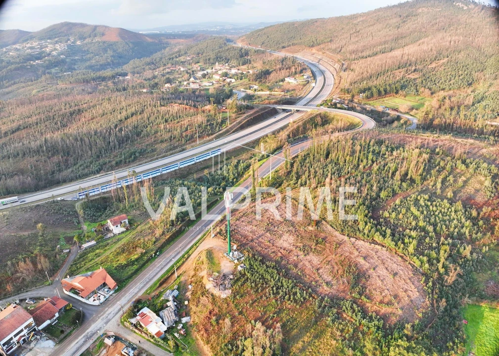 Terreno Agricola ou Rústico para Venda em Aguiar de Sousa Foto 26