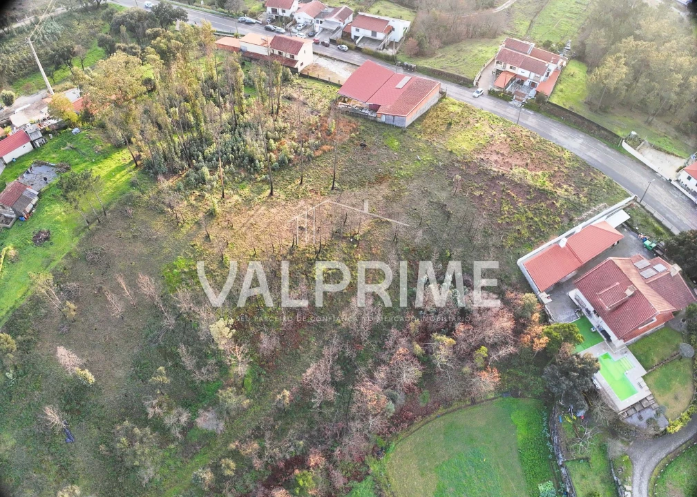 Terreno Agricola ou Rústico para Venda em Aguiar de Sousa Foto 10