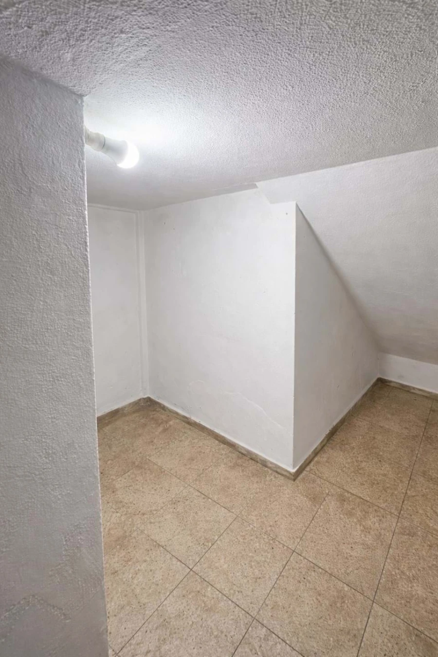 Negócio para Trespasse em Almancil Foto 28