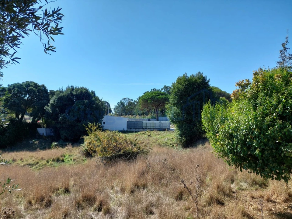 Terreno para Venda em Nossa Senhora do Pópulo, Coto e São Gregório Foto 3