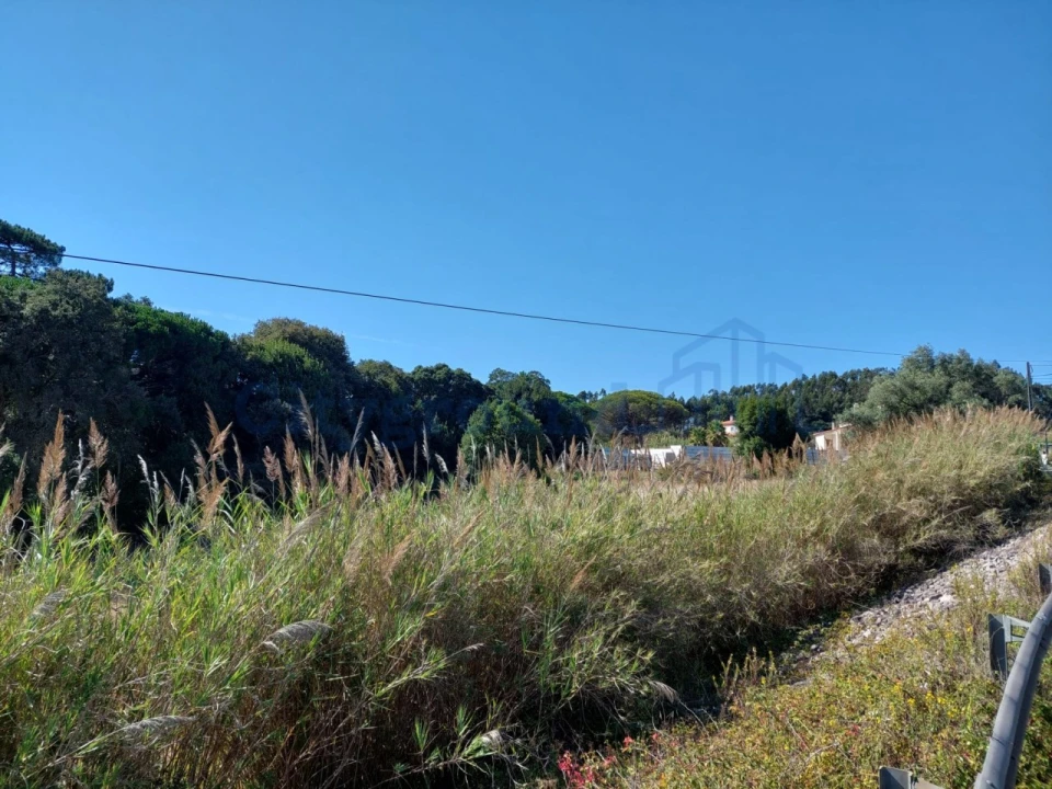 Terreno para Venda em Nossa Senhora do Pópulo, Coto e São Gregório Foto 4