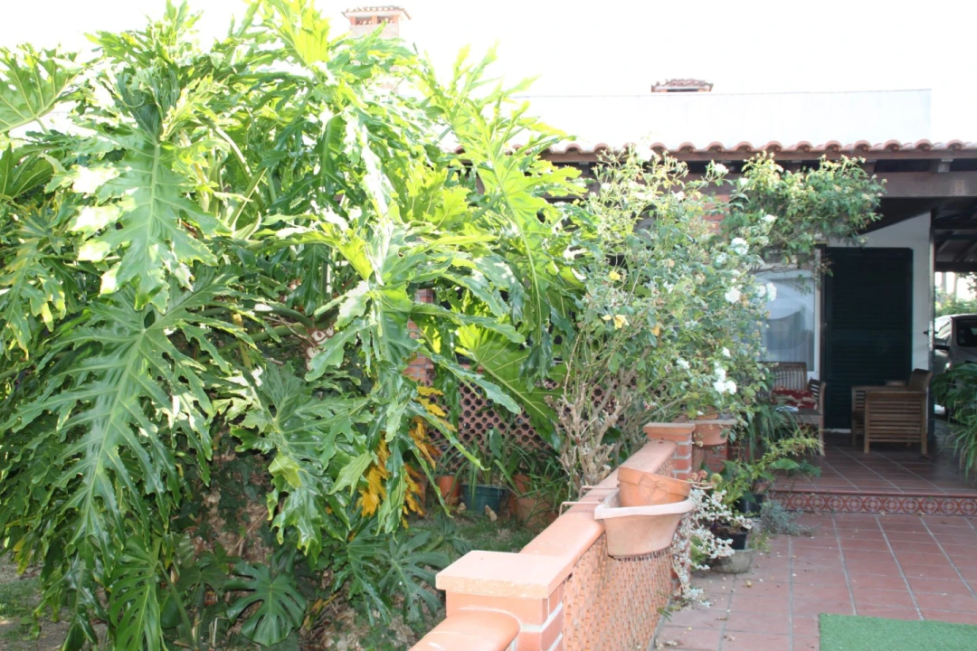 Moradia T5 para Venda em Salreu Foto 5