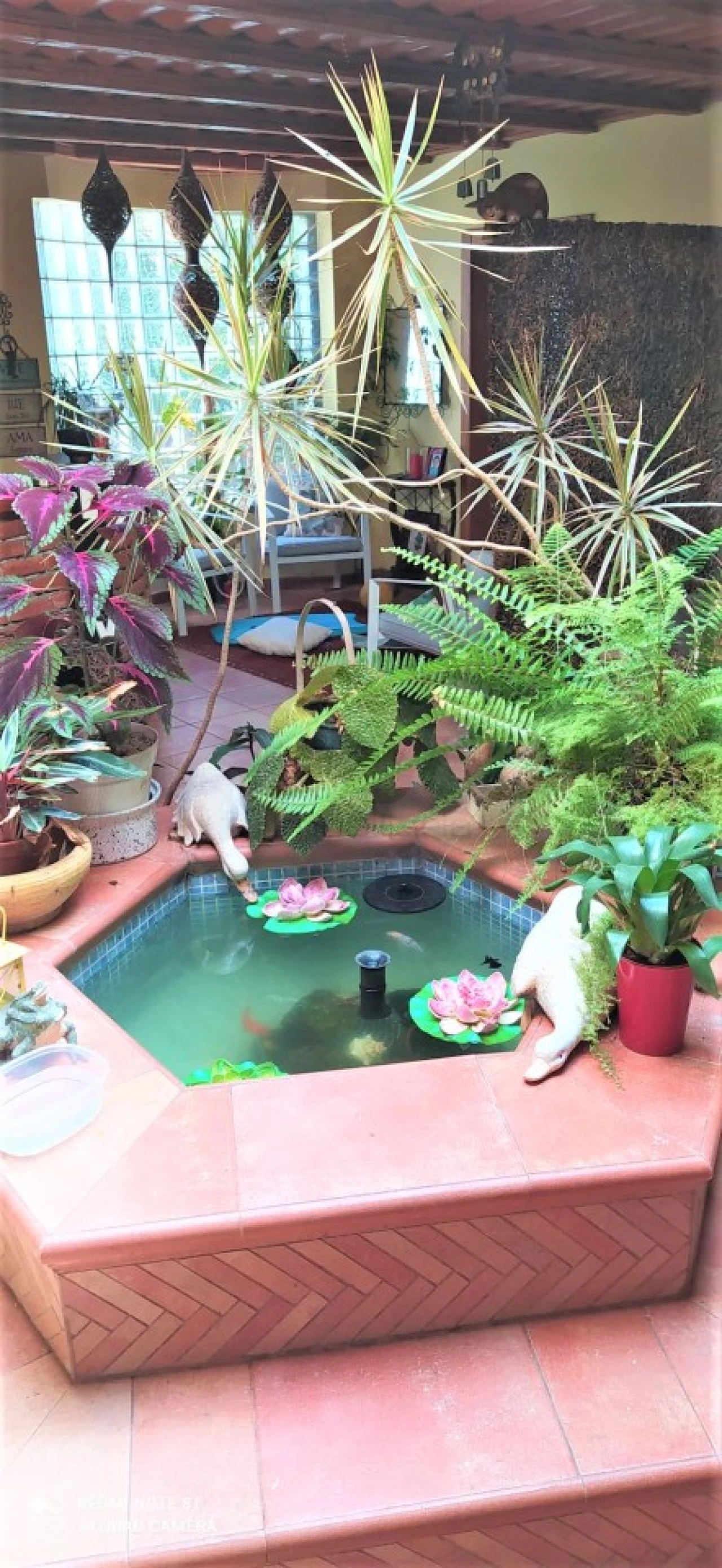 Moradia T5 para Venda em Salreu Foto 18