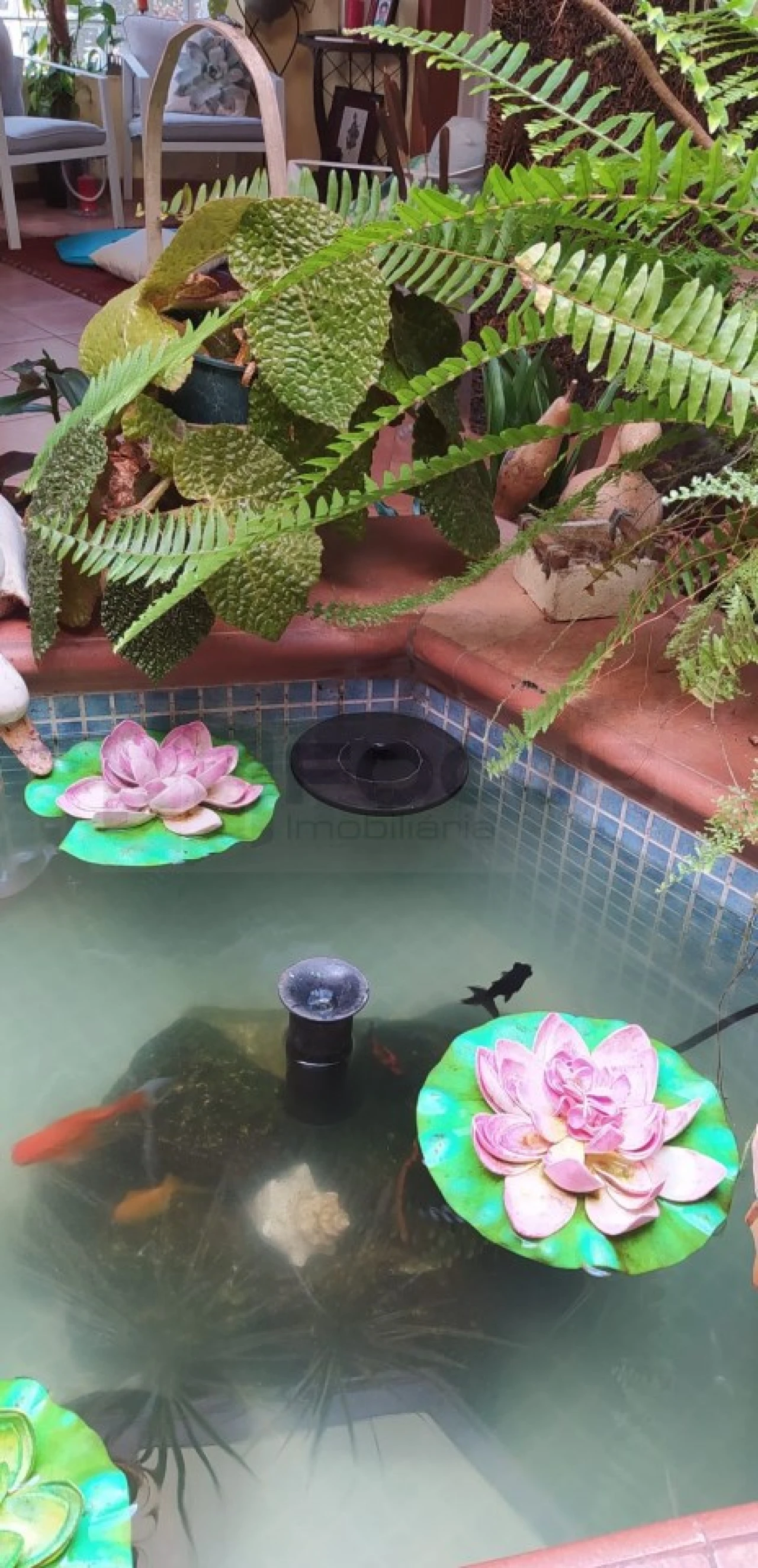 Moradia T5 para Venda em Salreu Foto 19