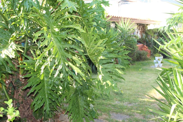 Moradia T5 para Venda em Salreu Foto 3