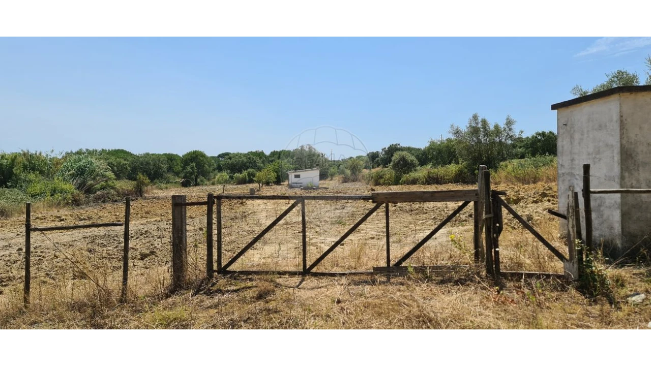 Terreno para Venda em Vila Chã de Ourique Foto 3