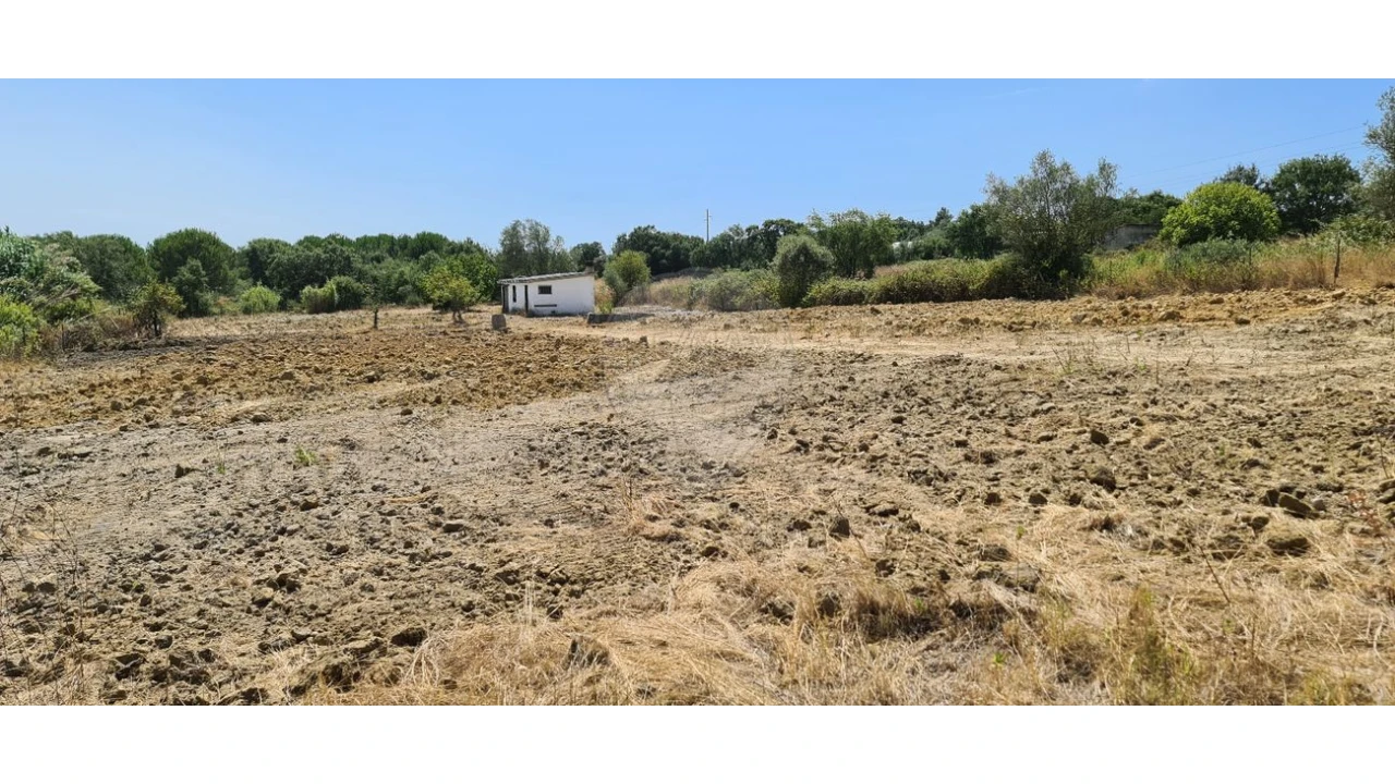 Terreno para Venda em Vila Chã de Ourique Foto 6