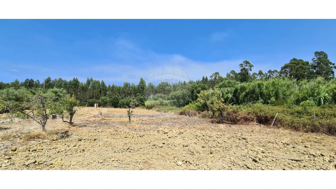 Terreno para Venda em Vila Chã de Ourique Foto 5