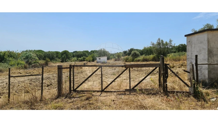 Terreno para Venda em Vila Chã de Ourique Foto 3