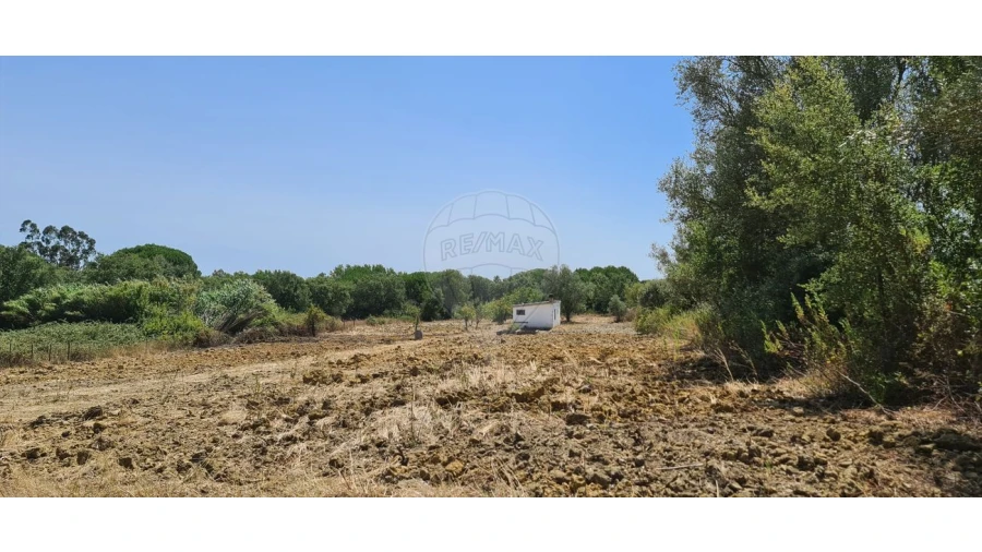 Terreno para Venda em Vila Chã de Ourique Foto 2