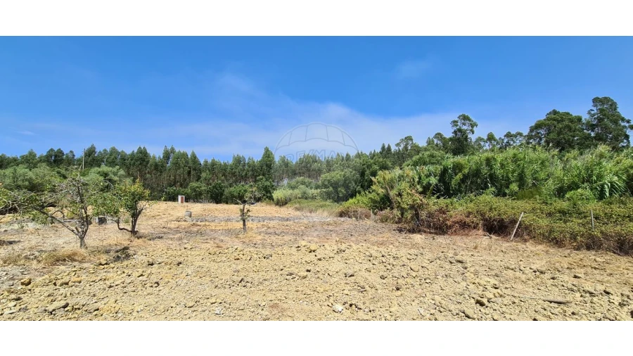 Terreno para Venda em Vila Chã de Ourique Foto 5