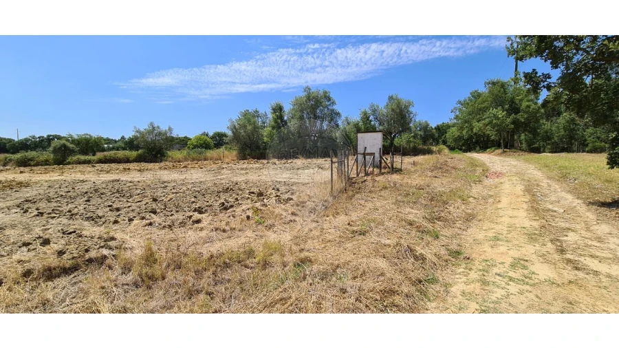 Terreno para Venda em Vila Chã de Ourique Foto 9