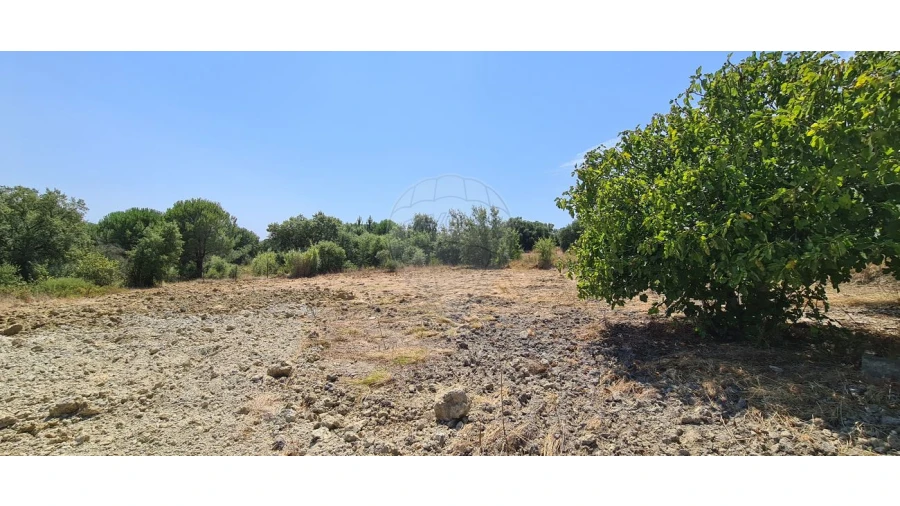 Terreno para Venda em Vila Chã de Ourique Foto 4