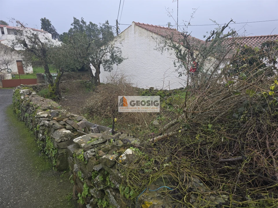 Moradia T1 para Venda em Almodôvar e Graça dos Padrões Foto 19