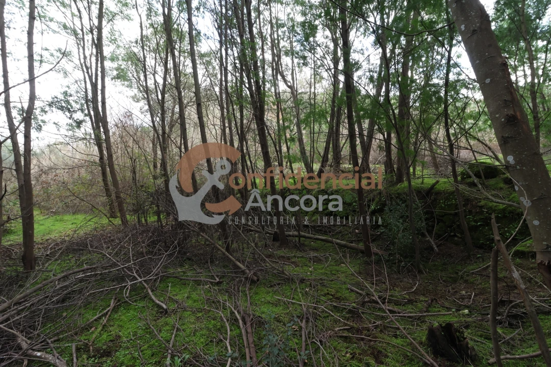 Terreno para Venda em Ribamondego Foto 3