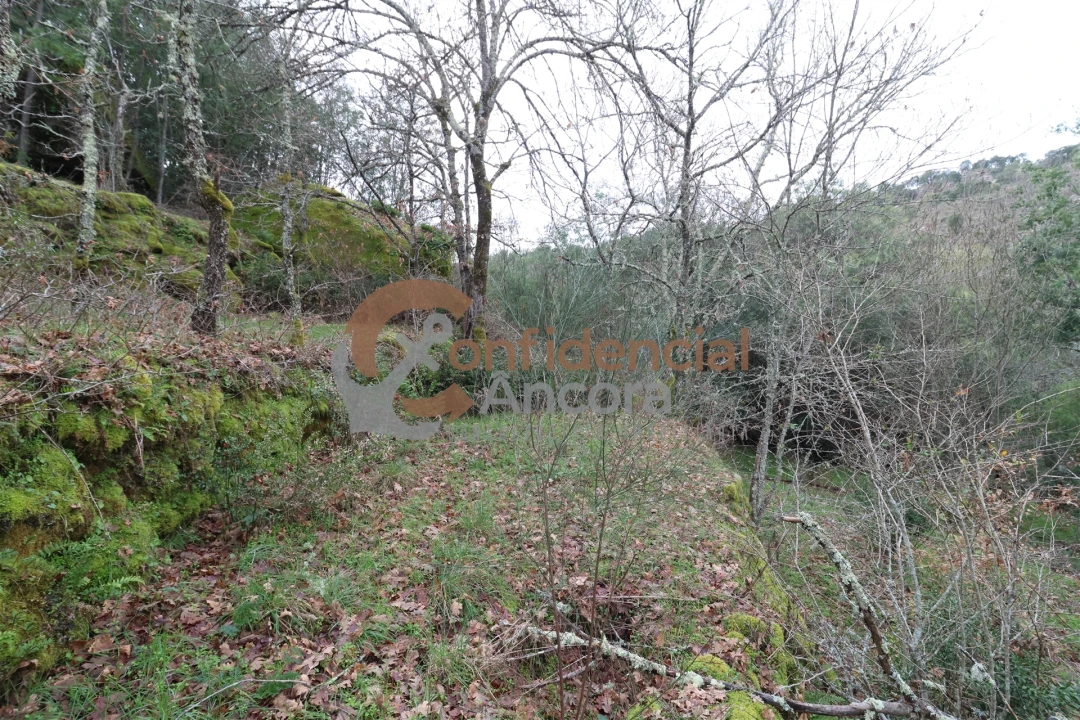 Terreno para Venda em Ribamondego Foto 8