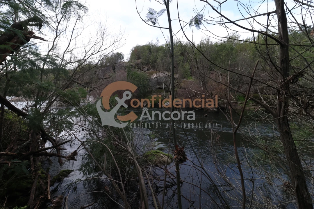 Terreno para Venda em Ribamondego Foto 19