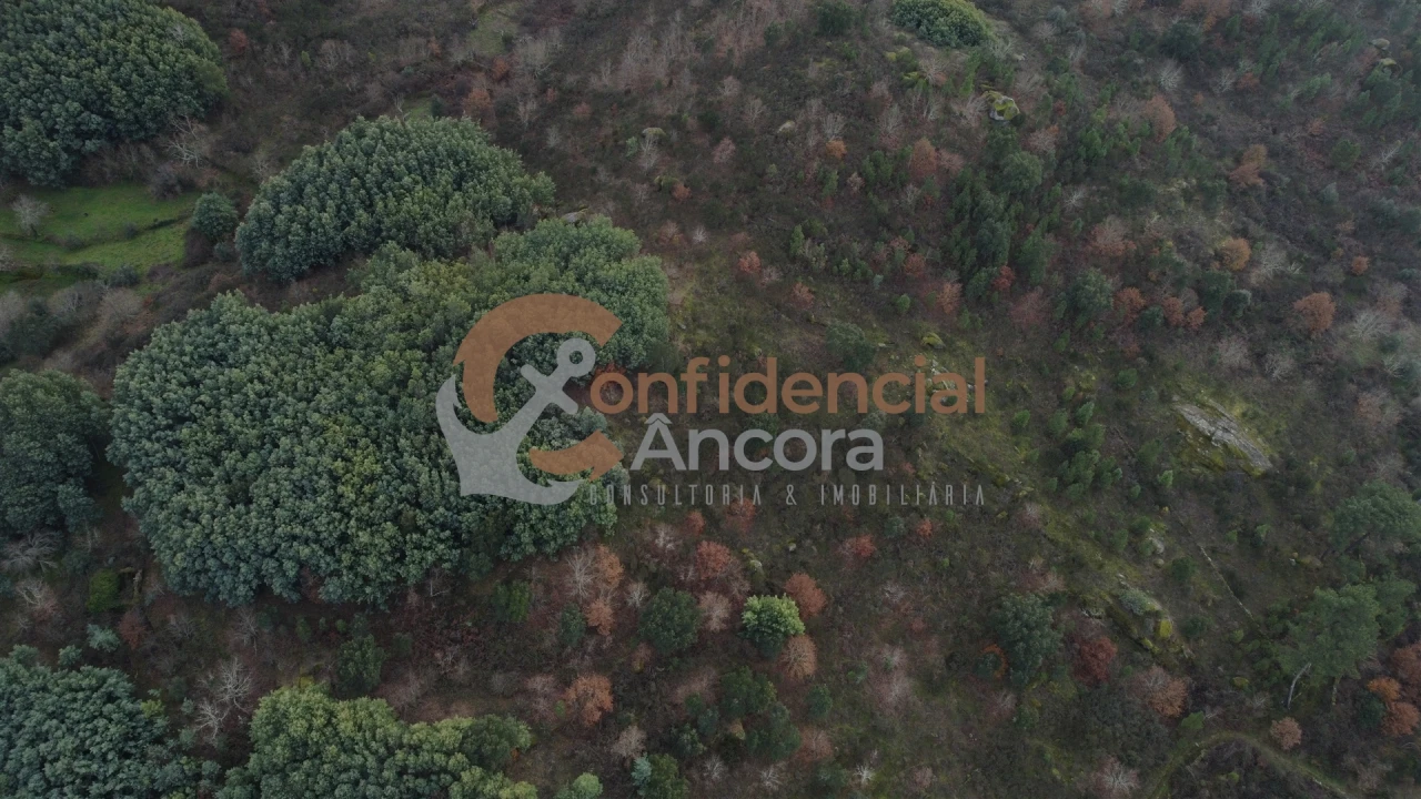 Terreno para Venda em Ribamondego Foto 41