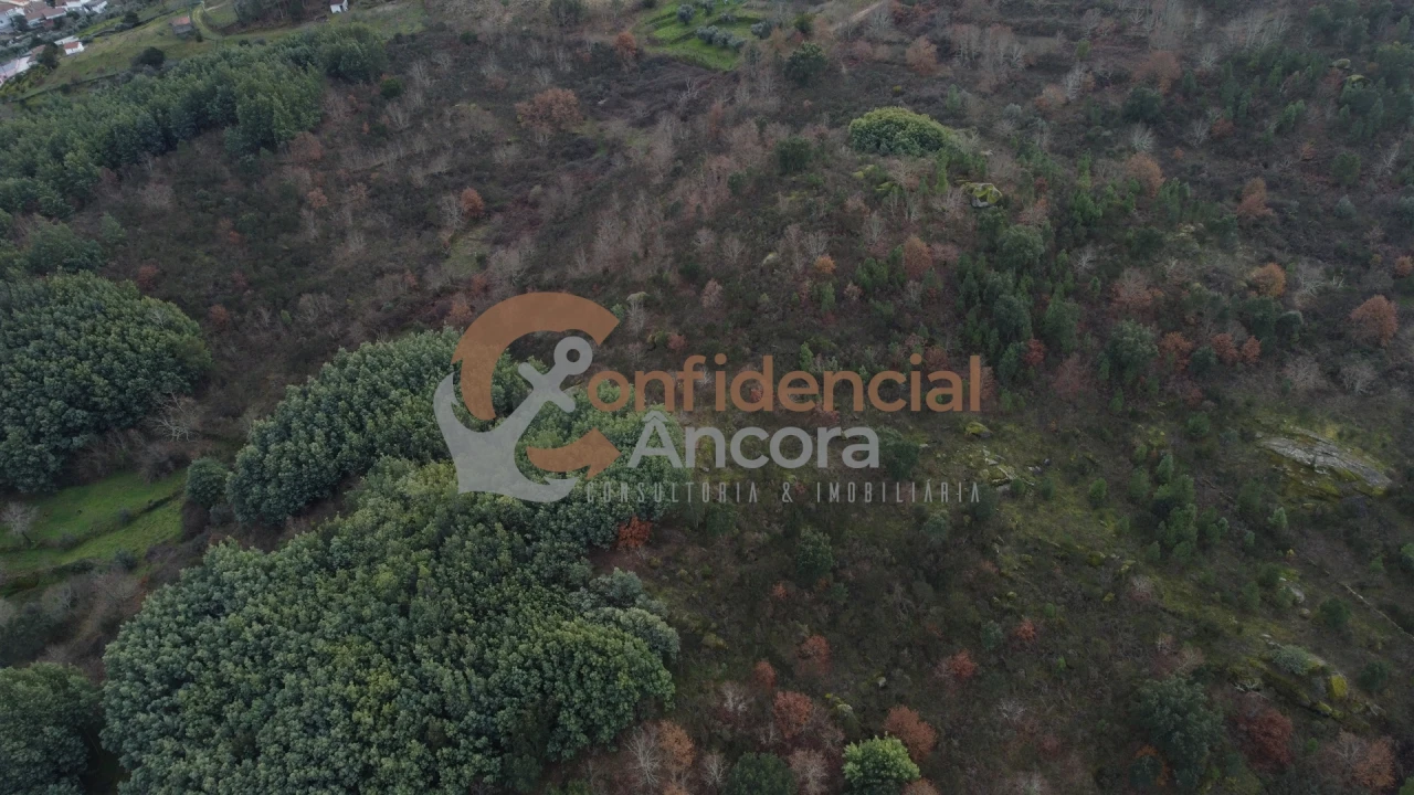 Terreno para Venda em Ribamondego Foto 42