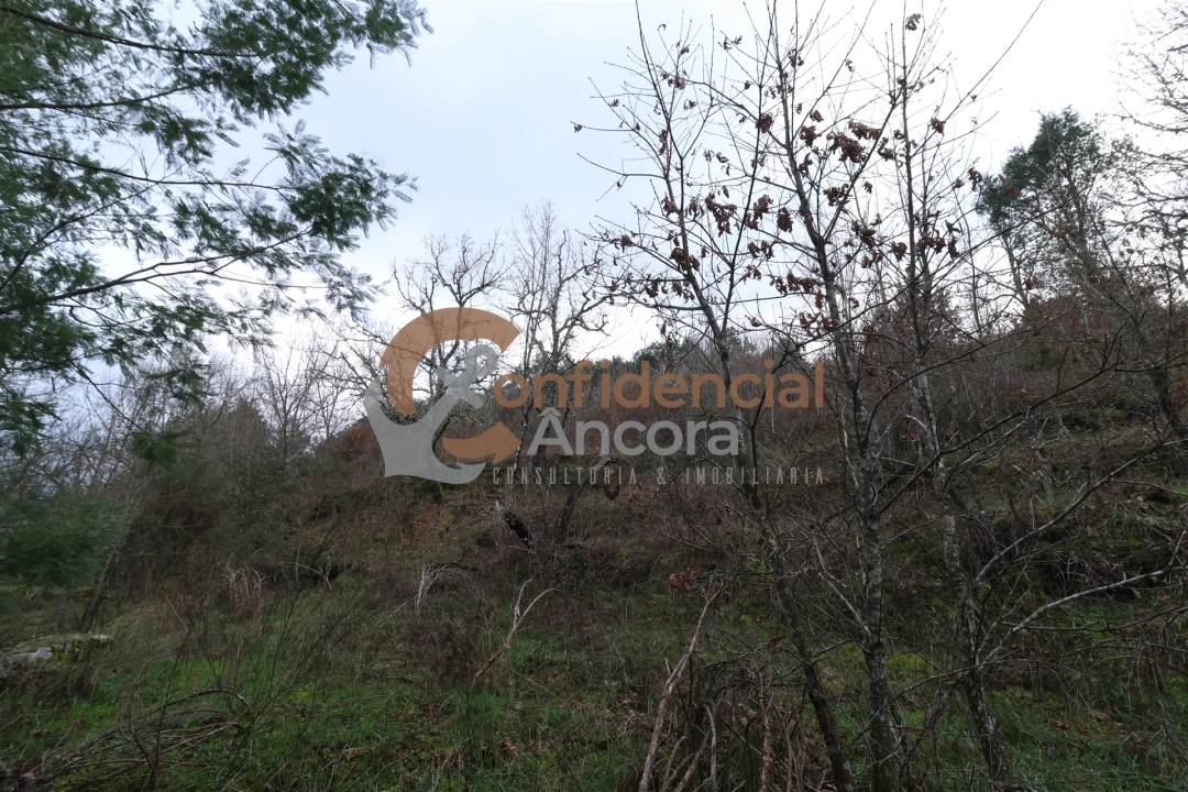 Terreno para Venda em Ribamondego Foto 10