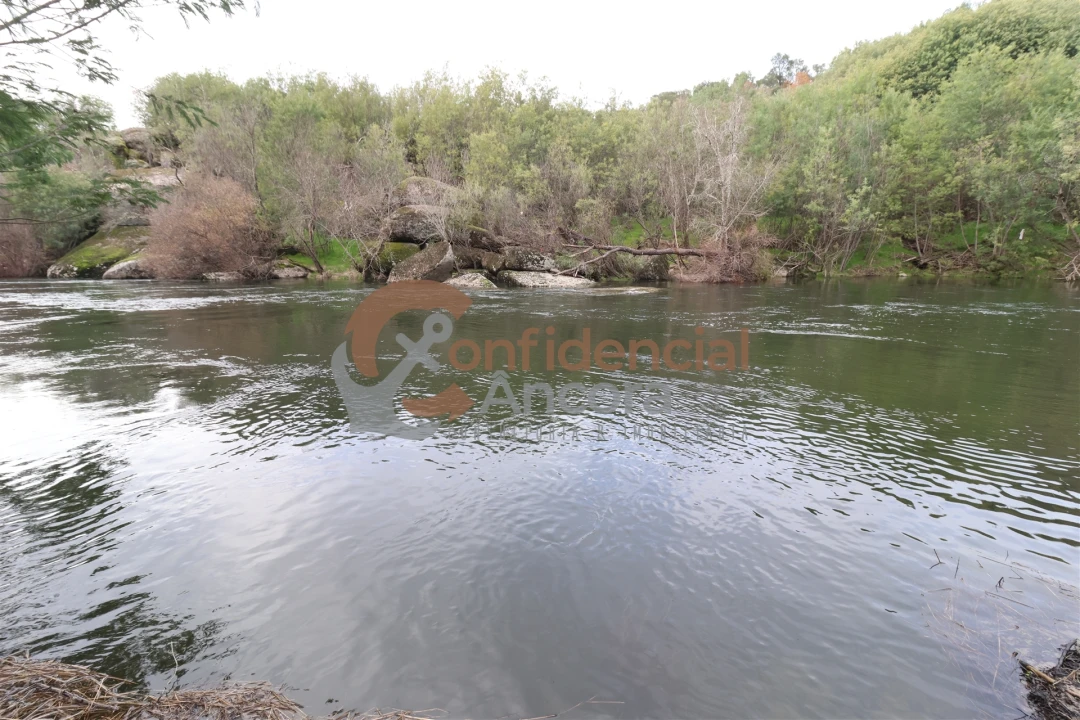 Terreno para Venda em Ribamondego Foto 13