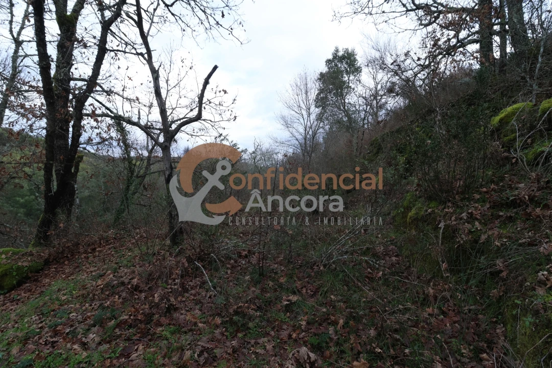 Terreno para Venda em Ribamondego Foto 7