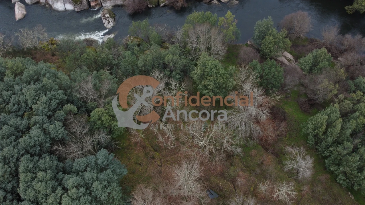 Terreno para Venda em Ribamondego Foto 36