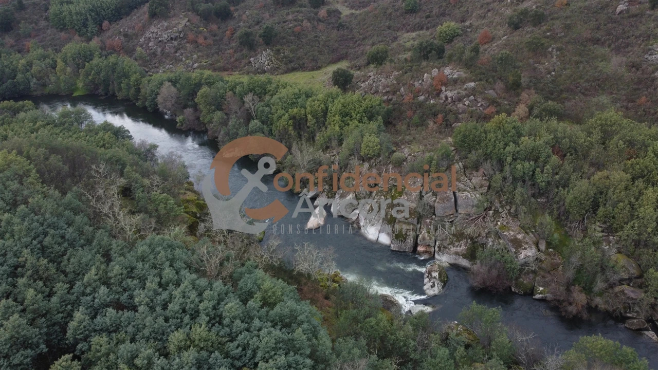 Terreno para Venda em Ribamondego Foto 34