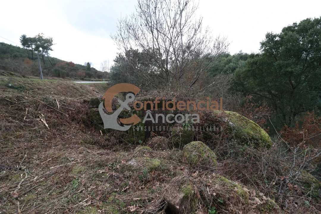 Terreno para Venda em Ribamondego Foto 26