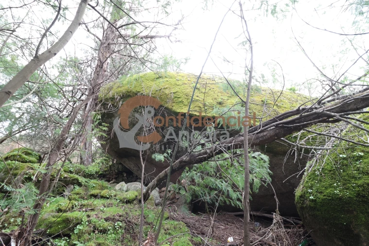 Terreno para Venda em Ribamondego Foto 20