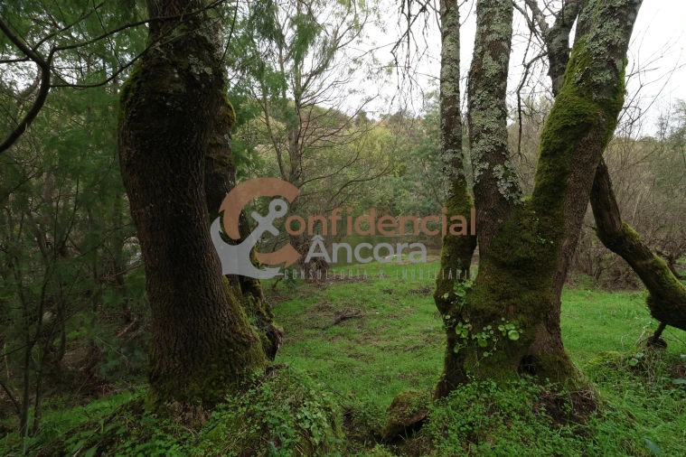 Terreno para Venda em Ribamondego Foto 16