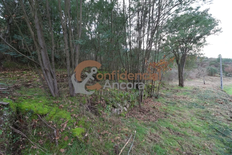 Terreno para Venda em Ribamondego Foto 30