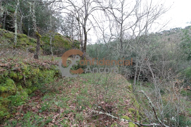 Terreno para Venda em Ribamondego Foto 8