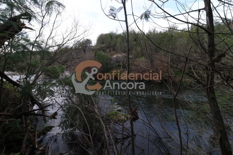 Terreno para Venda em Ribamondego Foto 19