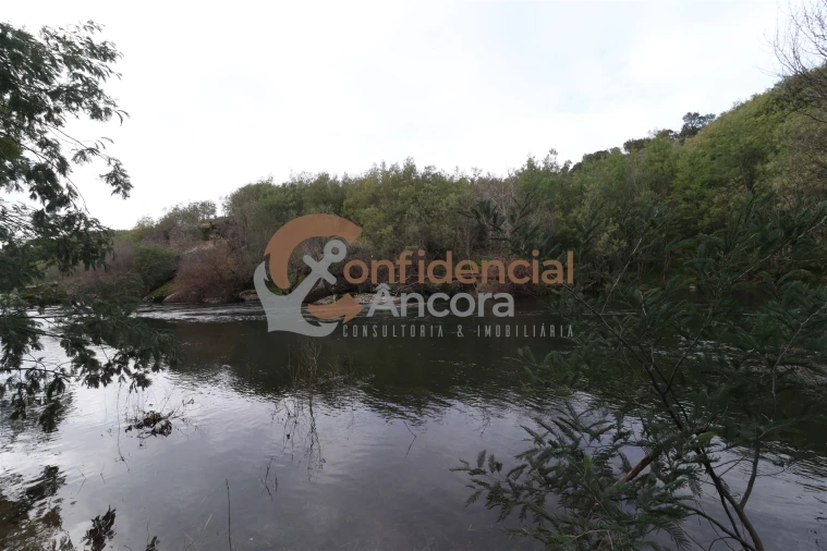 Terreno para Venda em Ribamondego Foto 12