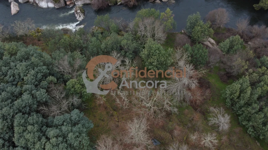 Terreno para Venda em Ribamondego Foto 36