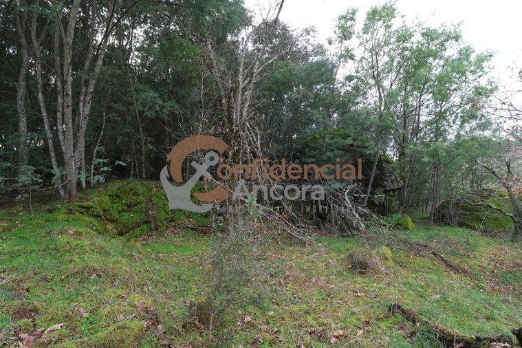 Terreno para Venda em Ribamondego Foto 5