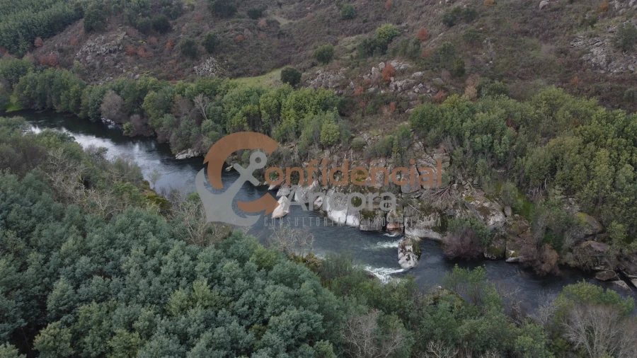 Terreno para Venda em Ribamondego Foto 33