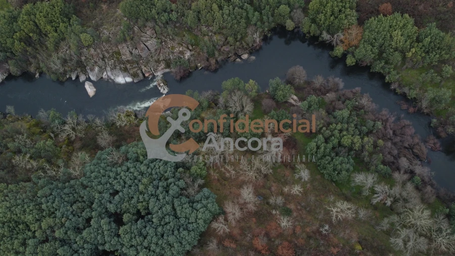 Terreno para Venda em Ribamondego Foto 39