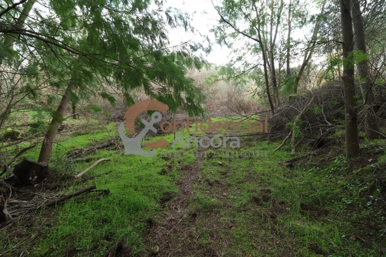 Terreno para Venda em Ribamondego