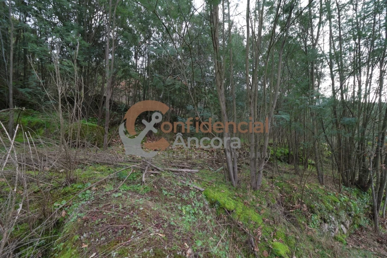 Terreno para Venda em Ribamondego Foto 29