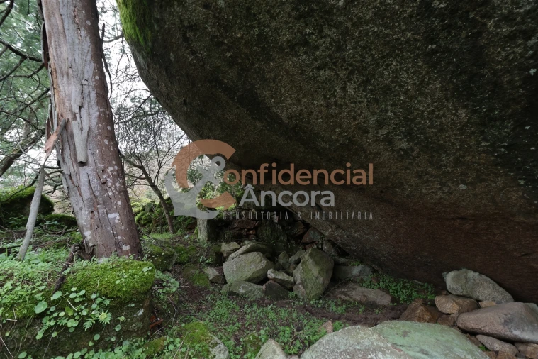 Terreno para Venda em Ribamondego Foto 18