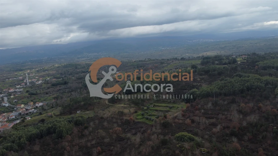 Terreno para Venda em Ribamondego Foto 43