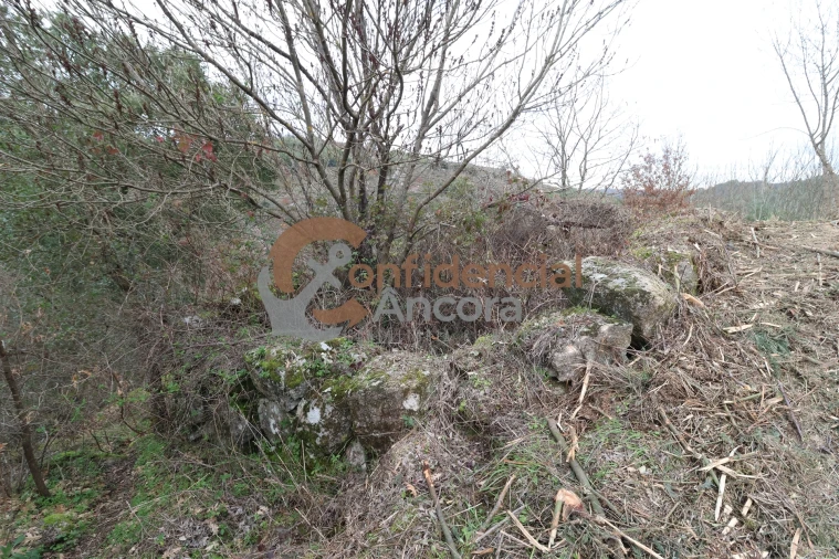 Terreno para Venda em Ribamondego Foto 25