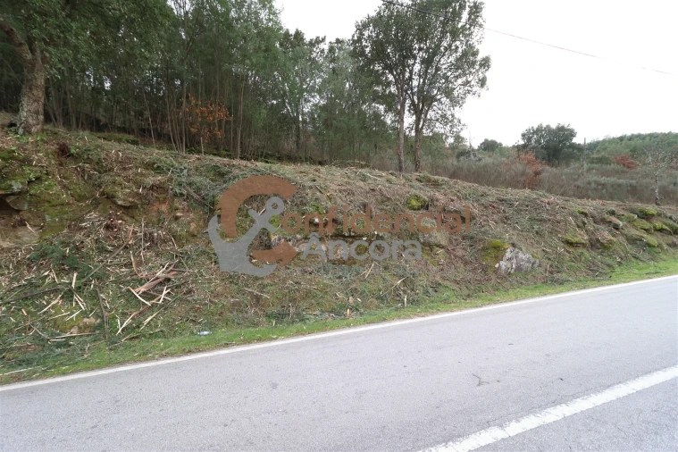 Terreno para Venda em Ribamondego Foto 27