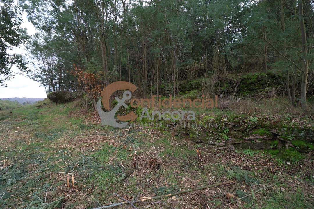 Terreno para Venda em Ribamondego Foto 28