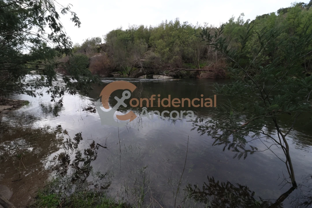 Terreno para Venda em Ribamondego Foto 11